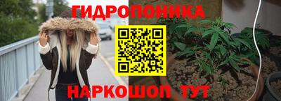 сатива Абинск