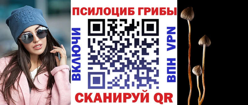 Галлюциногенные грибы Psilocybine cubensis  Альметьевск 