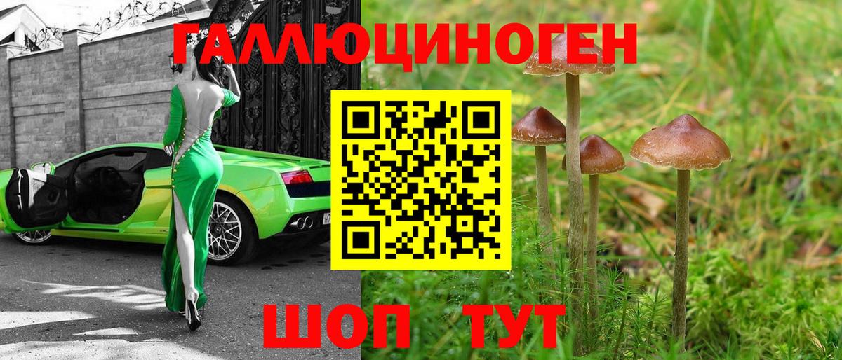Альметьевск  Галлюциногенные грибы MAGIC MUSHROOMS  Вход с VPN 