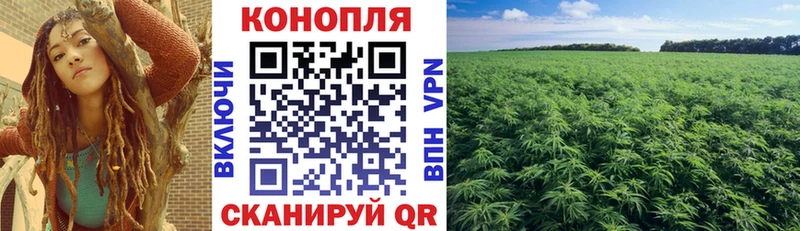 купить   omg вход  Конопля White Widow  Альметьевск 